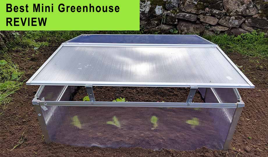 MINI  Dome Greenhouse Sa